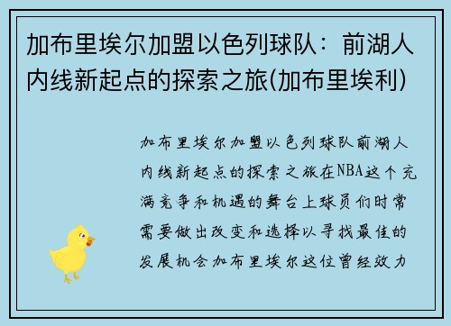 加布里埃尔加盟以色列球队：前湖人内线新起点的探索之旅(加布里埃利)