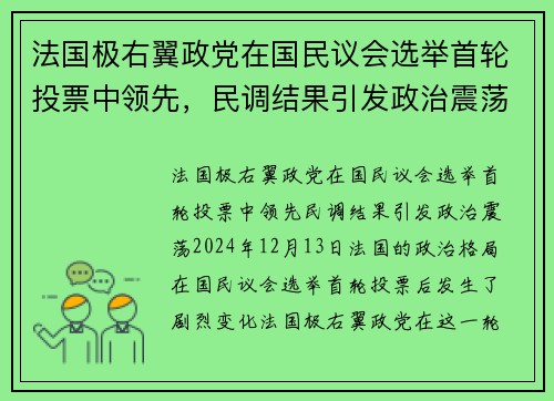 法国极右翼政党在国民议会选举首轮投票中领先，民调结果引发政治震荡