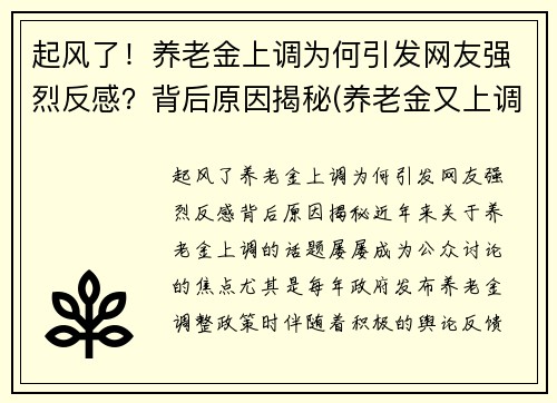 起风了！养老金上调为何引发网友强烈反感？背后原因揭秘(养老金又上调了是真的吗)