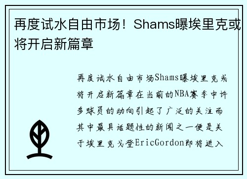 再度试水自由市场！Shams曝埃里克或将开启新篇章