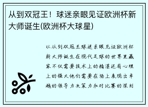 从到双冠王！球迷亲眼见证欧洲杯新大师诞生(欧洲杯大球星)