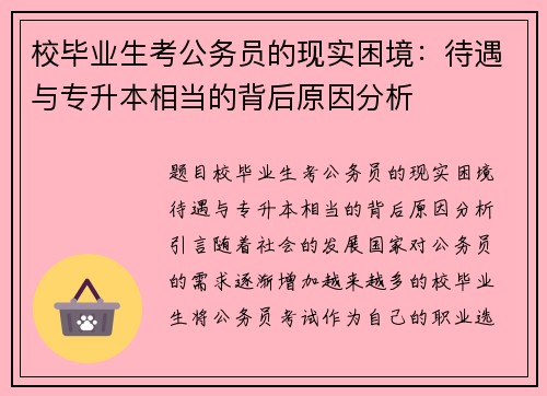 校毕业生考公务员的现实困境：待遇与专升本相当的背后原因分析
